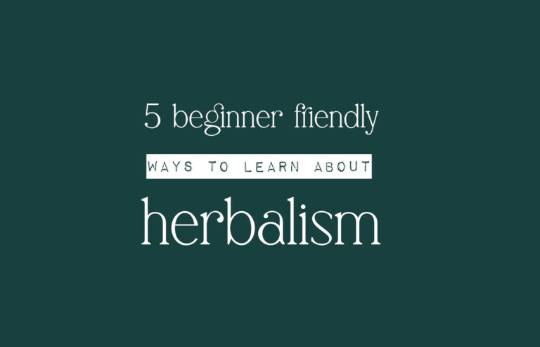 5 Ways to Learn About Herbalism Today